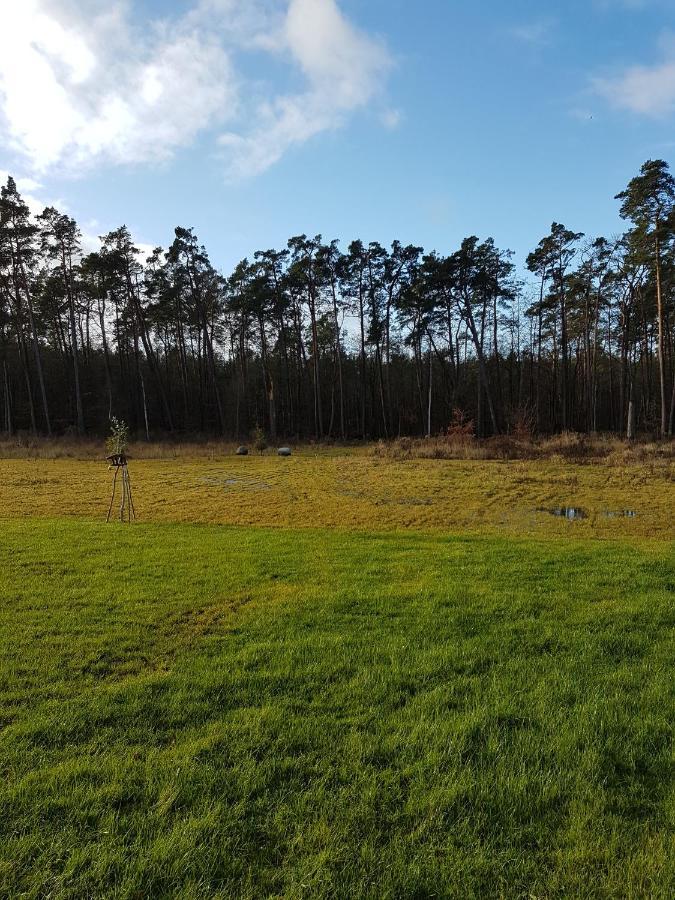Gelbensande Sonnenstrahl Im Kuestenwald מראה חיצוני תמונה