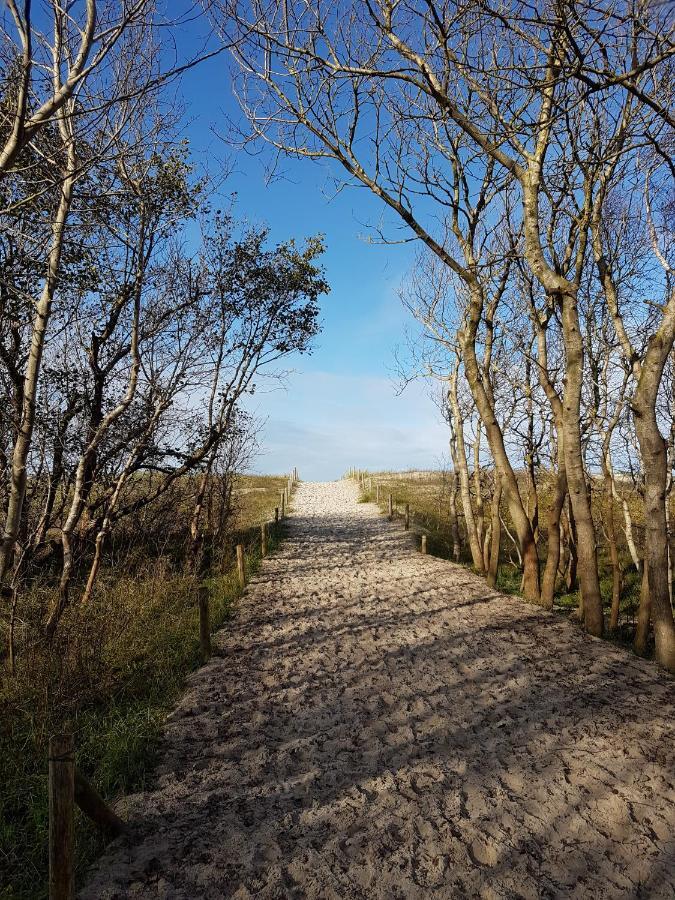 Gelbensande Sonnenstrahl Im Kuestenwald מראה חיצוני תמונה